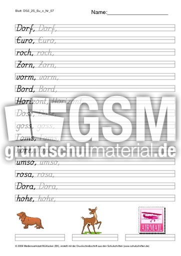 DSS_2S_Bu_o_Nr_07.pdf